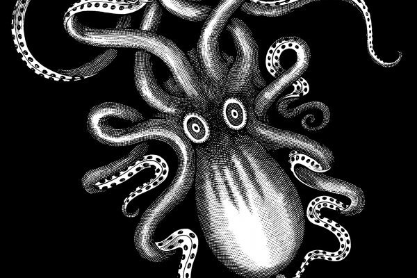 Кракен даркнет ссылка kraken link24 info
