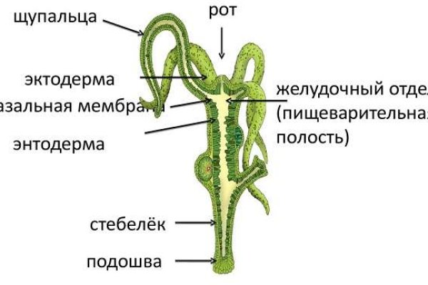 Сайт кракен что это такое