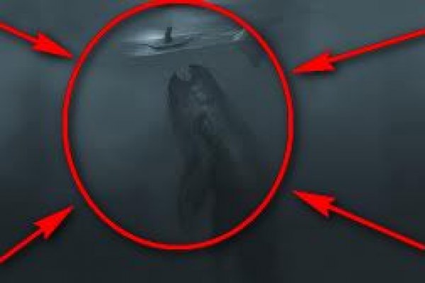 Официальный сайт kraken ссылки зеркала