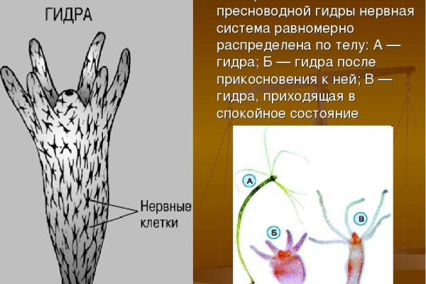 Кракен магазин наркотиков